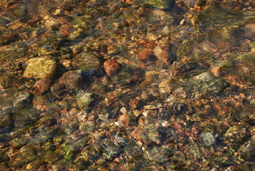 Soft wavy water river with flowing  water above the stones. Transparent water with sand and stones.