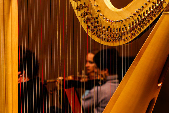 Musical instrument harp. Strings of a harp close up and Female silhouette background.