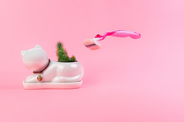 Cactus in a white flowerpot like cat and a flying razor on a pink background. The concept of depilation and epilation. Copy space