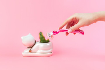 Green cactus in a white flowerpot like cat and a woman's hand holding a razor on a pink background. The concept of depilation, epilation and removal unwanted hair on the body. Copy space