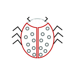 vector icon, with insect ladybug shape