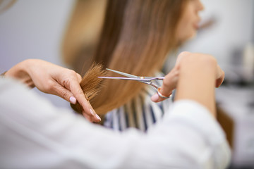modern professional woman working as hairdresser and cutting hair tips of a female customer in...