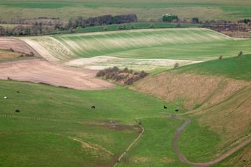 A full frame photograph looking down on a South Downs landscape on a sunny winters day