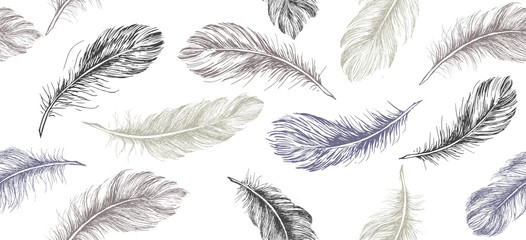 Cotton fabric Hand drawn feather on white background.
