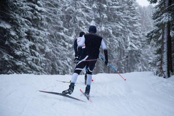 Fototapeta na wymiar Cross country. A skier is skiing in winter in the woods.