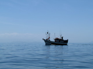 Fototapeta na wymiar Tour boats on a calm sea