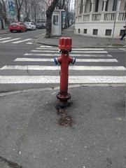 Red and blue fire hydrant on wet day
