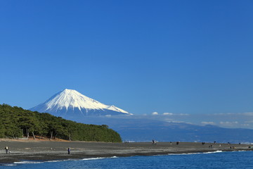 静岡県　静岡市　三保の松原