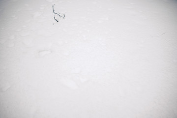 Beautiful winter nature, white snow