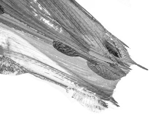 The black white acrylic painting texture background