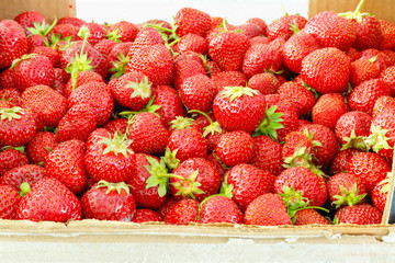 Large box of ripe tasty strawberries. Summer harvest.