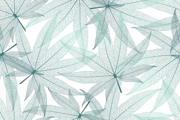 Foto op Plexiglas Bladnerven Naadloos patroon met aderen van cannabisbladeren. Vector illustratie.