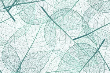 Printed kitchen splashbacks Skeleton leaves Seamless pattern with leaves veins. Vector illustration.