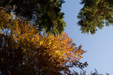 Ysperklamm hiking