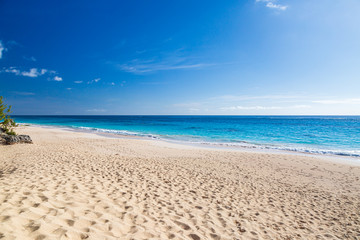 Fototapeta na wymiar Looking along the idyllic Elbow Beach on the island of Bermuda, with a blue sky overhead