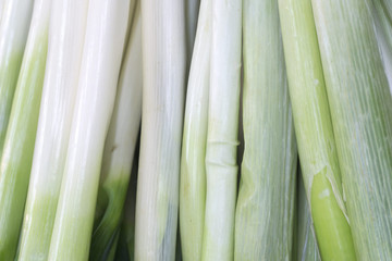長ネギの白い幹