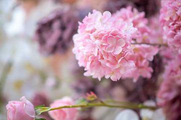 Beautiful colorful flowers for weddings and valentines.