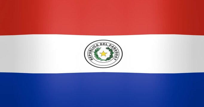 Waving Flag of Paraguay Looping Background