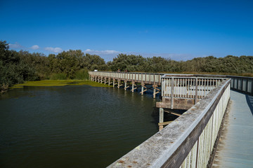 Fototapeta na wymiar Wooden bridge across Oso Flaco Lake, California