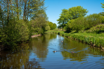 Scenic canal view of the Llangollen Canal near Chirk, Wales,UK