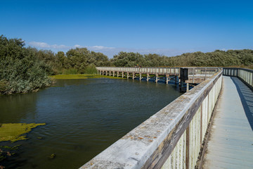 Fototapeta na wymiar Wooden bridge on Oso Flaco Lake, California