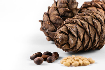 cedar cones and peeled cedar nuts on the white background