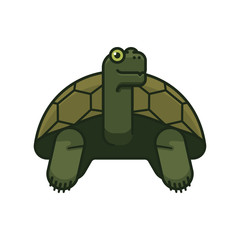 Giant Tortoise isolated vector illustration