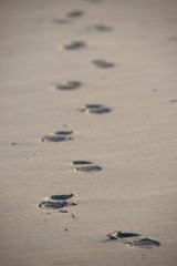 empreintes de pas sur une plage de sable.  footprints on a sandy beach.