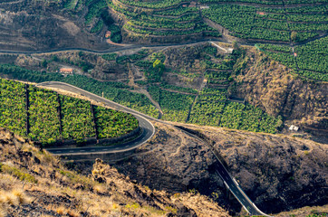 View from above on banana plantations and winding roads on La palma, Canary islands, Spain