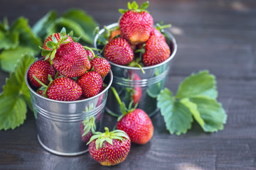 ripe strawberries on the table close-up. background with strawberries in buckets.