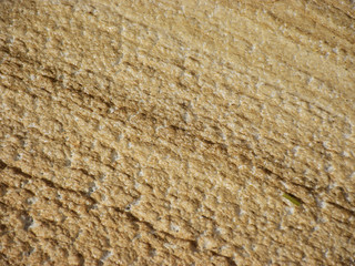 abstract picture with blurry water foam texture