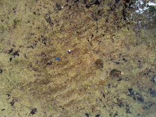 promeneurs sur la plage du veillon à marais basse