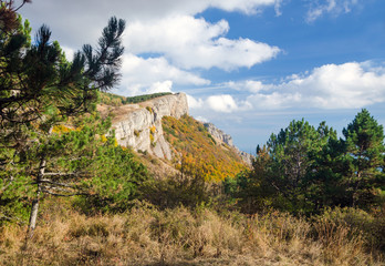 Fototapeta na wymiar mountain landscape with a slight mist