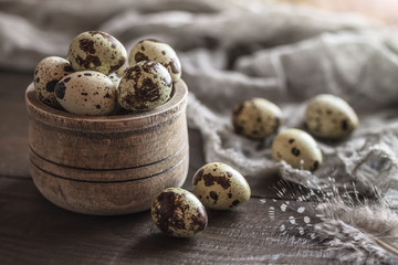 quail eggs in a wooden bowl. background with quail eggs and feathers.