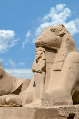 Karnak Temple Complex in Luxor, Egypt. Cryosphinx with ram head guards Pharaoh, Sphinx on a...
