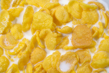 Closeup of golden cornflakes with milk. Cereal background.