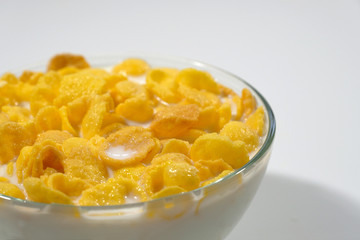 Corn flakes in a bowl on a gray background close-up.