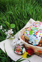 Spring, easter holiday. Easter cakes in a basket on green grass.