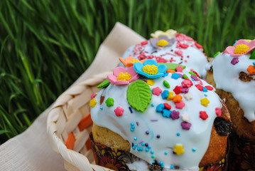 Easter cakes lie in a basket on the grass. Easter holiday.