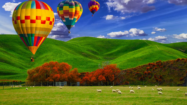 Beautiful colors of the hot air balloons flying over on the hill at new zealand