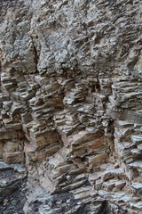 These rocks makeup part of the Santa Monica Mountains in Will Rogers State Park, and help create an environment where numerous Southern California native plants thrive.