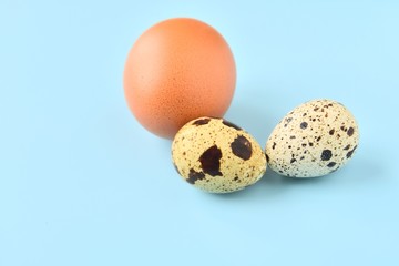 Organic chicken and quail eggs for Easter holiday on neutral light blue background. Raw egg. Easter eggs. Ingredients for healthy protein breakfast. Keto diet. Easter background traditional symbol
