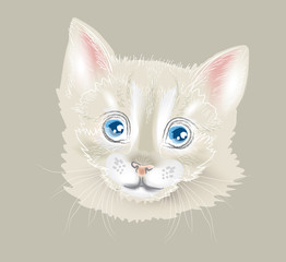 Cute cat head. Vector illustration.