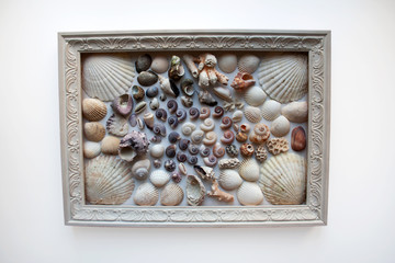 Seashells and corals composition in wooden picture frame isolated on white background