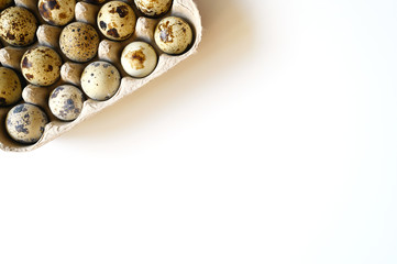 twenty quail eggs in a cardboard box on a white background. space for text