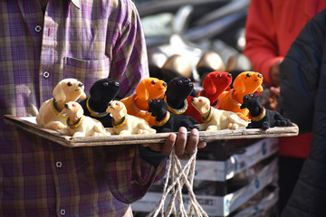 beautiful toy dogs for selling in an Indian market