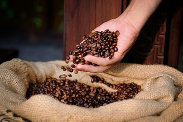 Coffee concept. Hands in sac with roasted coffee beans. Black coffee