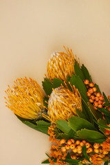 white space branch with orange protea berries flower foliage peach background flatlay modern trend fresh