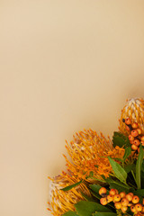 white space branch with orange protea berries flower foliage peach background flatlay modern trend fresh