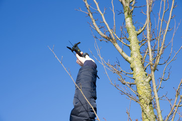 hand take out pocket drone from tree. Drone got stuck between the tree branches. clear blue sky...